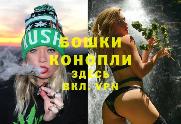 крисы Майский