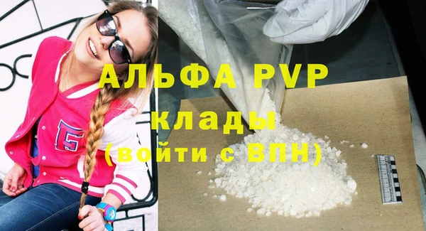 тгк Магас