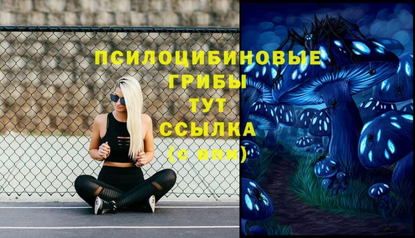 таблы Медногорск