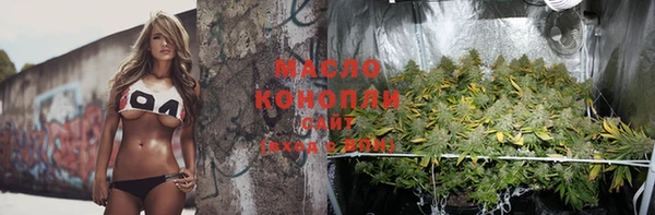 крисы Майский