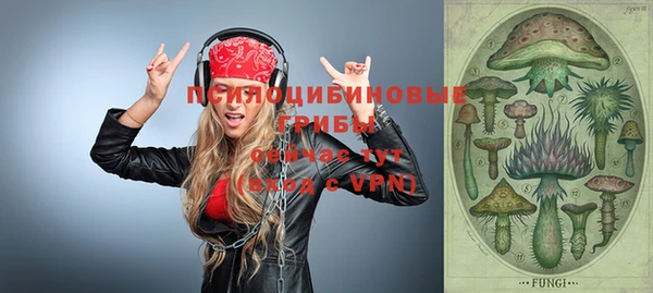 тгк Магас