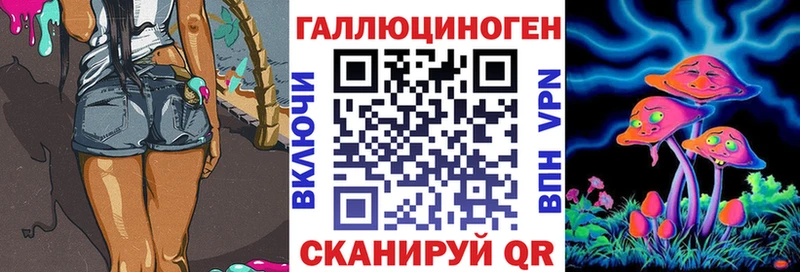 Галлюциногенные грибы Psilocybine cubensis  цены наркотик  Новомичуринск 